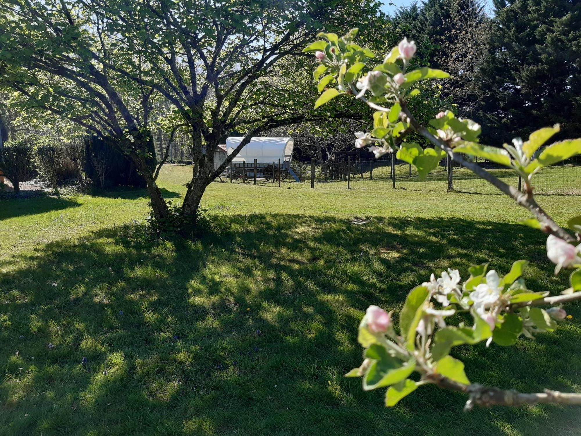 Roulotte Irlandaise Polly Ξενοδοχείο Saint-Vincent-en-Bresse Εξωτερικό φωτογραφία